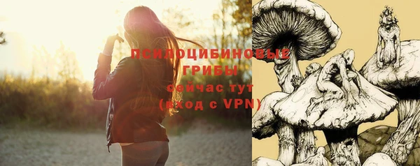 эйфоретик Абаза