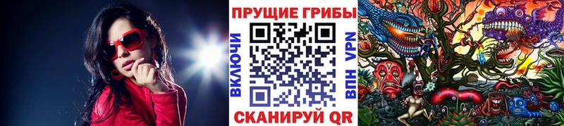 блэк спрут   как найти закладки  Россошь  Псилоцибиновые грибы Magic Shrooms 